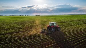 insumos agropecuarios