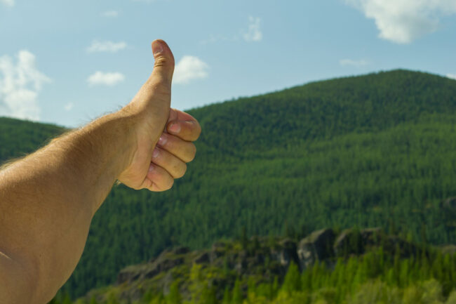 autorización ambiental autorización ambiental