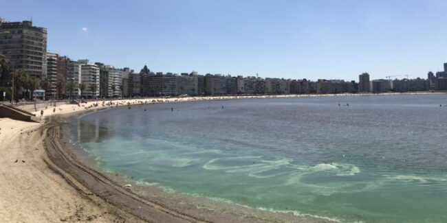 ministerio de medio ambiente ministerio de medio ambiente