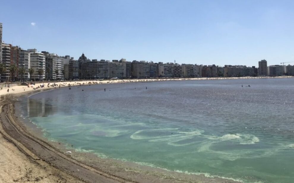 ministerio de medio ambiente