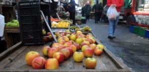 autorización bromatológica