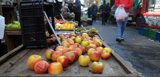 autorización bromatológica autorización bromatológica