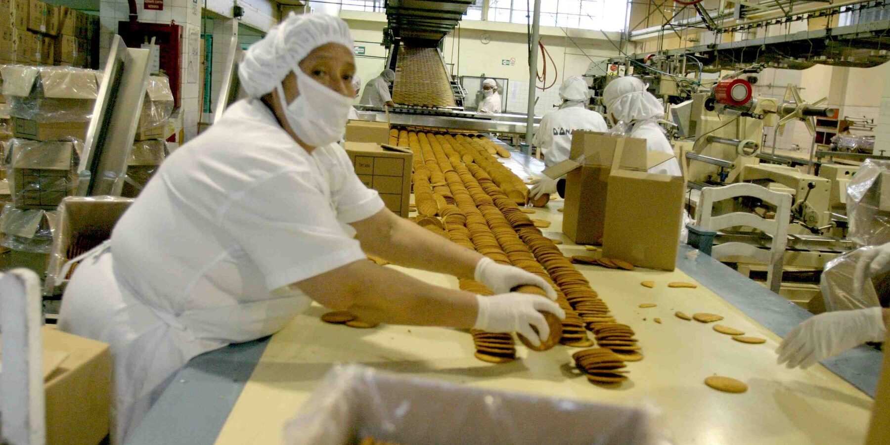 elaborador de alimentos