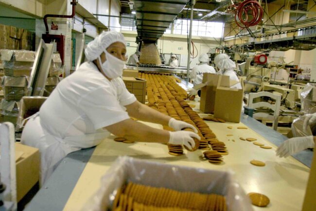 elaborador de alimentos elaborador de alimentos