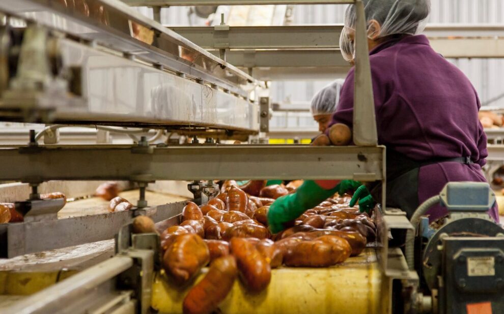 empresas alimentarias