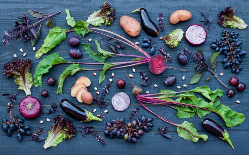 empresas alimenticias