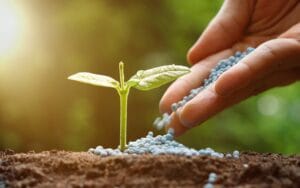 registro de fertilizantes
