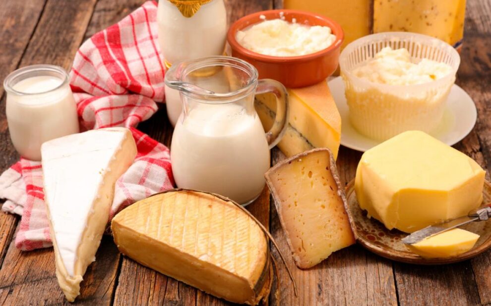 habilitación productos lácteos