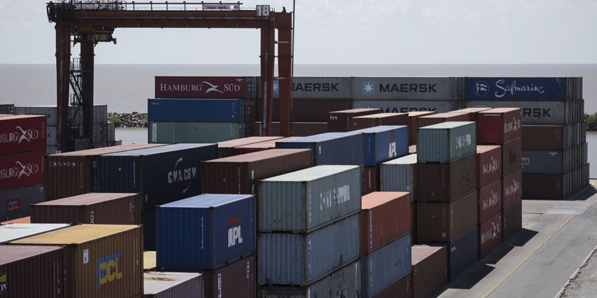 importador de alimentos