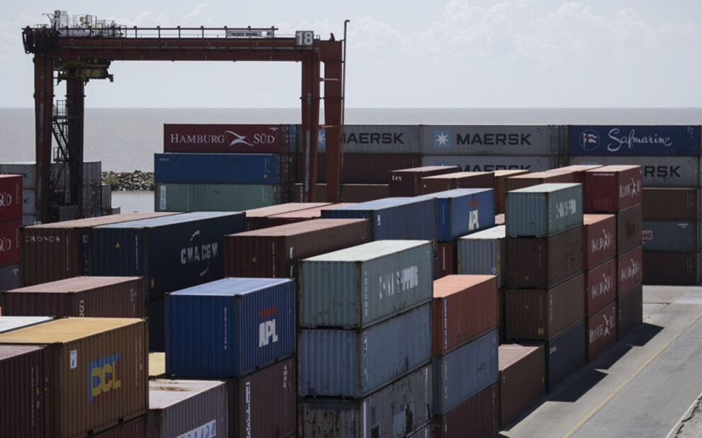 importador de alimentos