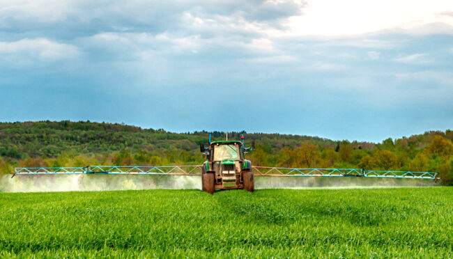 importación de fitosanitarios