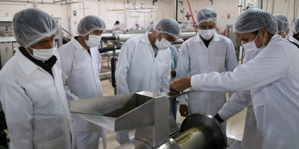 ingeniera alimentaria ingeniera alimentaria