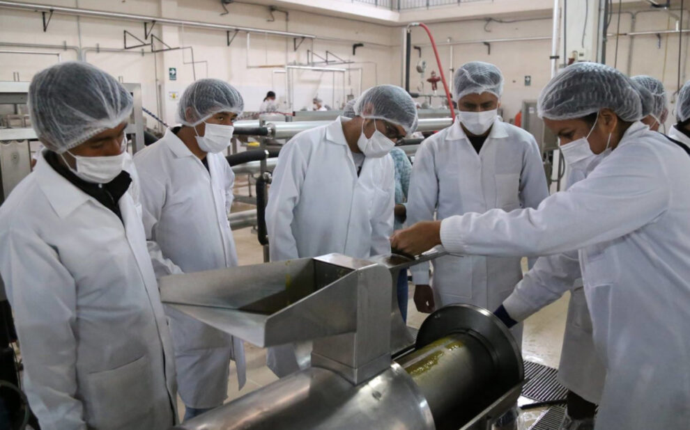 ingeniera alimentaria