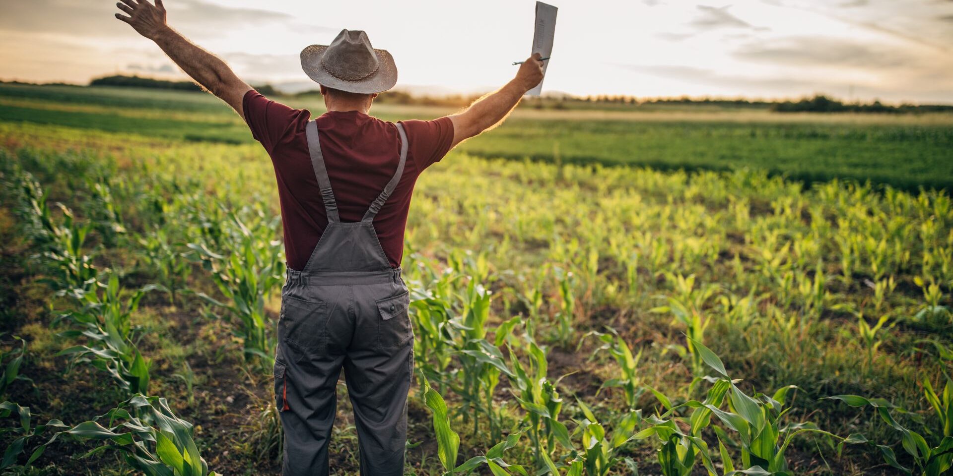 productor agropecuario productor agropecuario