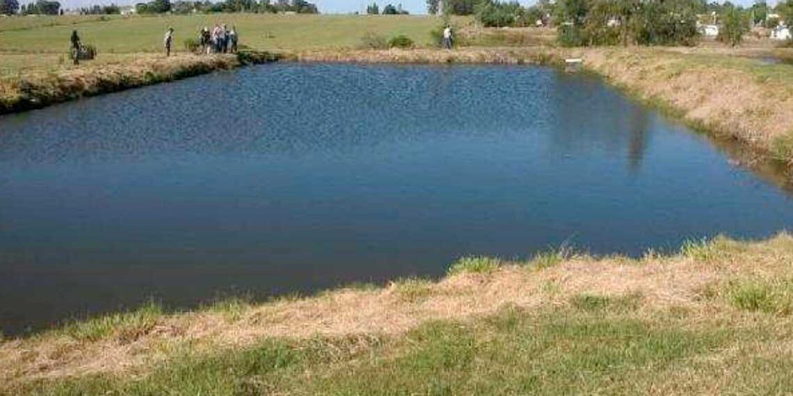 trámite plan de gestión de efluentes