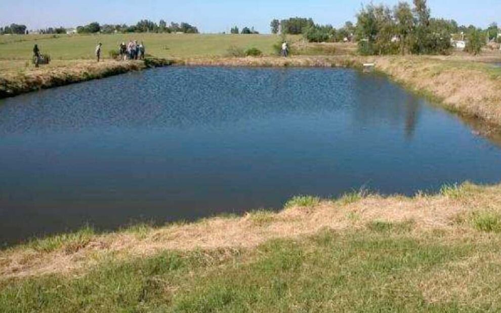 trámite plan de gestión de efluentes