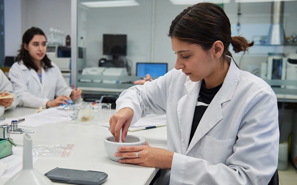 Consultoría bromatológica