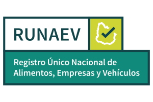registro runaev