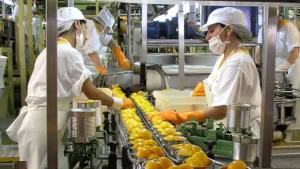 registros de empresas
