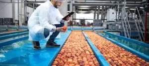 habilitación para empresas