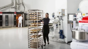 habilitación de planta